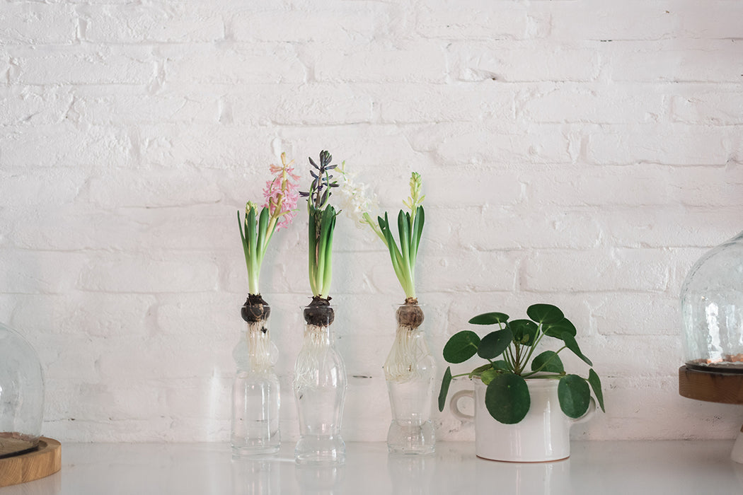 Loire Carafe