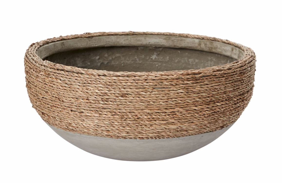 Reed Plant Bowl