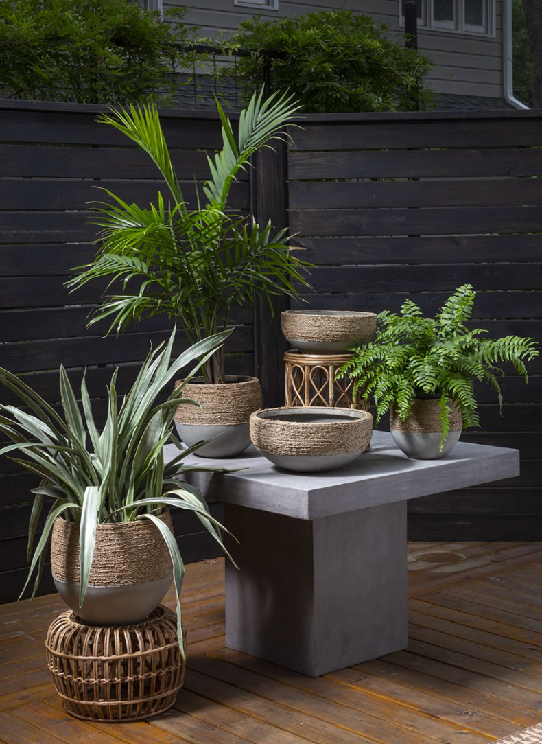 Reed Plant Bowl