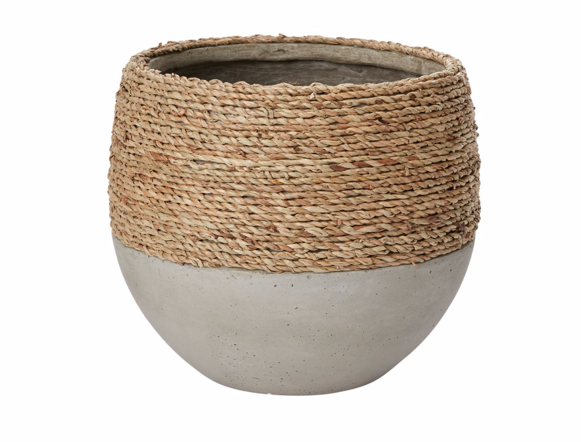 Reed Plant Bowl