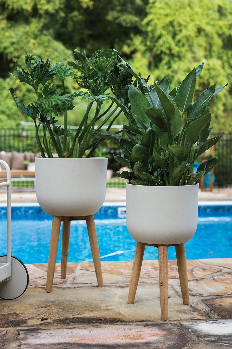 Landis Plant Stand