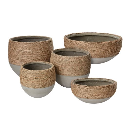 Reed Plant Bowl